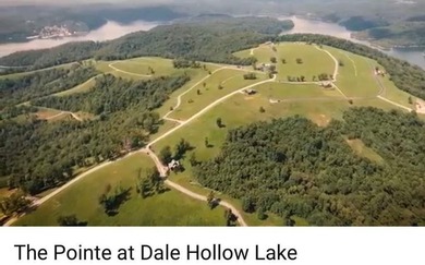 The Pointe at Dale Hollow is a beautiful gated community that - photo 3