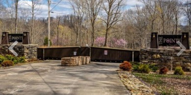 The Pointe at Dale Hollow is a beautiful gated community that - photo 4