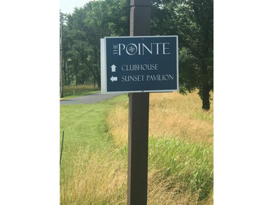The Pointe at Dale Hollow is a beautiful gated community that - photo 6