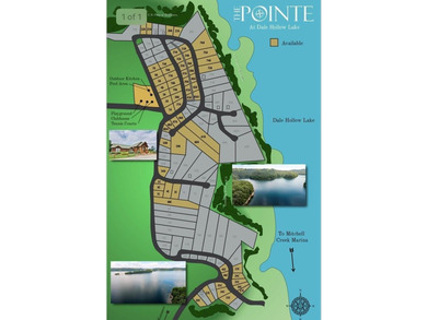 The Pointe at Dale Hollow is a beautiful gated community that - photo 9