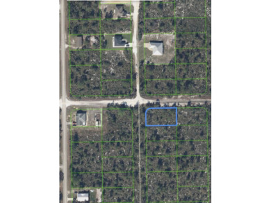 Lake Lot For Sale in Lake Placid, Florida