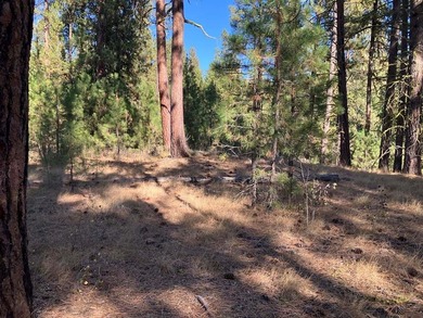 Lake Cascade  Lot Sale Pending in Cascade Idaho