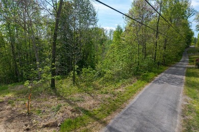 Escape to the beauty of Center Hill Lake with this 3-acre wooded - photo 2
