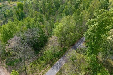 Escape to the beauty of Center Hill Lake with this 3-acre wooded - photo 3