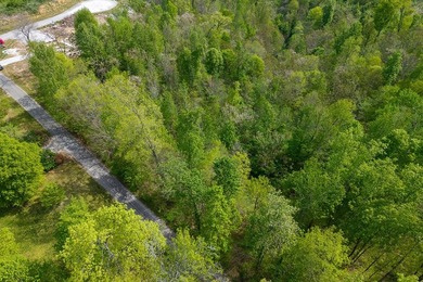 Escape to the beauty of Center Hill Lake with this 3-acre wooded - photo 4