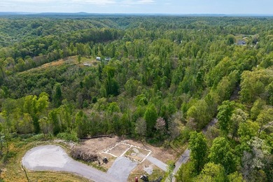 Escape to the beauty of Center Hill Lake with this 3-acre wooded - photo 10