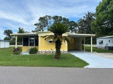 Lake Idlewild Home For Sale in Fruitland Park Florida