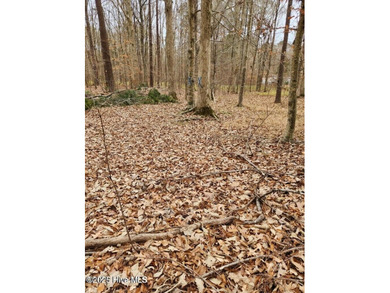 Yeopim River Lot For Sale in Hertford North Carolina