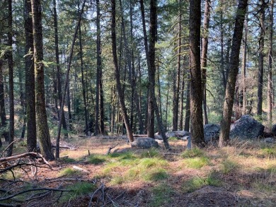 Lake Cascade  Lot Sale Pending in Cascade Idaho