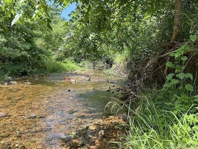 Spring River - Fulton County Acreage For Sale in Mammoth Spring Arkansas