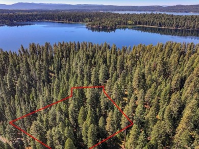 Lake Acreage For Sale in Mccall, Idaho