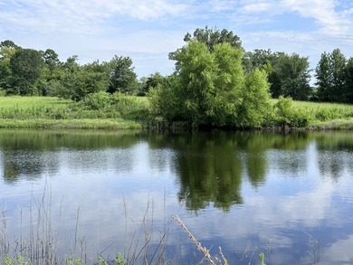 High Visibility Commercial Acreage 19.85 Acres with FM and - photo 18