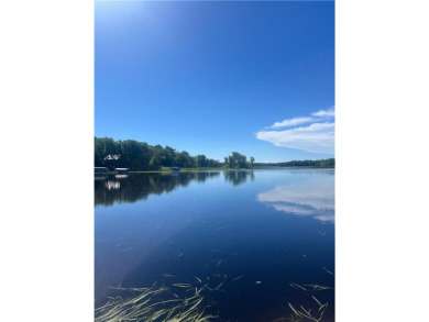 Lake Home For Sale in Shamrock Twp, Minnesota