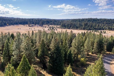 Payette Lake Acreage For Sale in Mccall Idaho