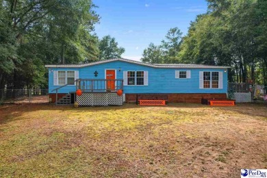 Lake Home For Sale in Summerton, South Carolina