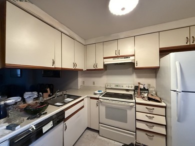Opportunity awaits in this Liberty Square 2-bedroom apartment - photo 3