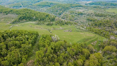 Over 117 acres of unrestricted land in Monongalia County - one - photo 15