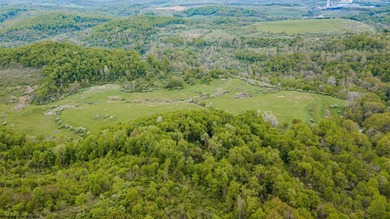 Over 117 acres of unrestricted land in Monongalia County - one - photo 18