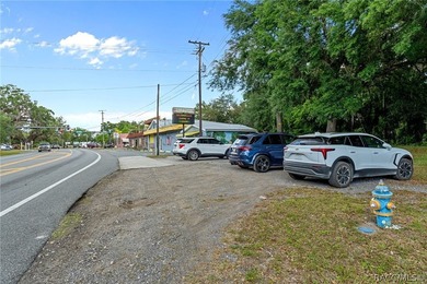 Prime multi-tenant commercial opportunity located in the heart - photo 33