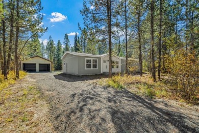 Lake Cascade  Home Sale Pending in Donnelly Idaho