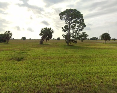 Rotunda Meadows Lakes  Lot For Sale in Placida Florida