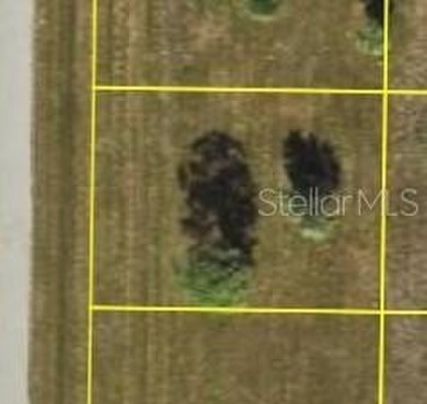 Perfect lot to build your Florida dream home here in Rotonda - photo 3