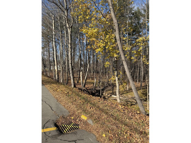 Welcome to Dover-Foxcroft. This pristine, untouched lot of 2.3 - photo 3