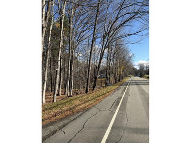 Welcome to Dover-Foxcroft. This pristine, untouched lot of 2.3 - photo 4
