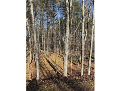 Welcome to Dover-Foxcroft. This pristine, untouched lot of 2.3 - photo 5