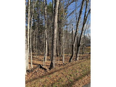 Welcome to Dover-Foxcroft. This pristine, untouched lot of 2.3 - photo 9