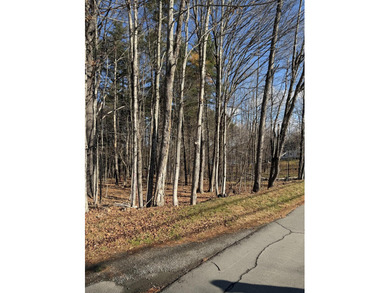 Welcome to Dover-Foxcroft. This pristine, untouched lot of 2.3 - photo 10