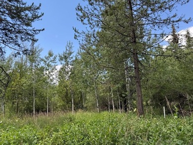 Payette Lake Lot For Sale in Mccall Idaho