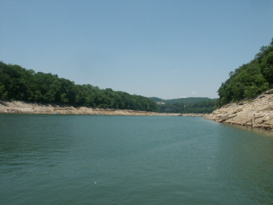 Resort-Style Lake Living at The Villas at Woodson Bend - photo 10