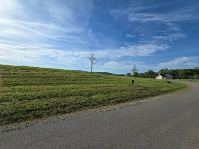 Stunning 0.95-acre property with beautiful mountain views in the - photo 3