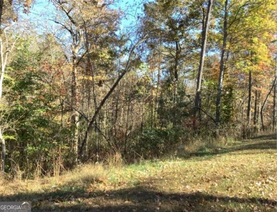 Lake Acreage For Sale in Ellijay, Georgia