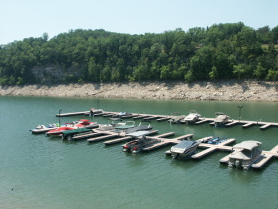 Resort-Style Lake Living at The Villas at Woodson Bend - photo 8