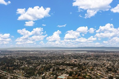 Come home to sweeping 180 degrees Bay views, perfect for sipping - photo 5
