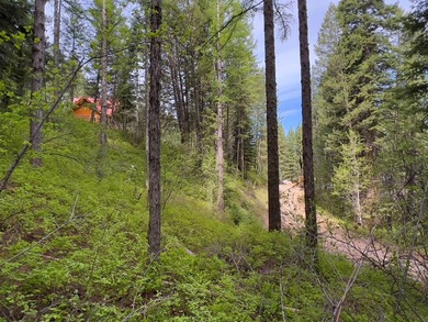 LESS THAN 0.5 MILES to Lake Cascade! Head out from nearby Blue - photo 11