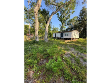 Lake Home For Sale in Floral City, Florida