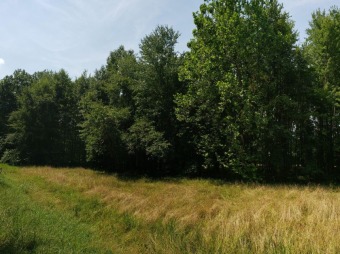 Lake Lot SOLD! in Lake Waynoka, Ohio