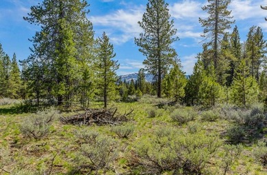 (private lake, pond, creek) Lot For Sale in Mccall Idaho