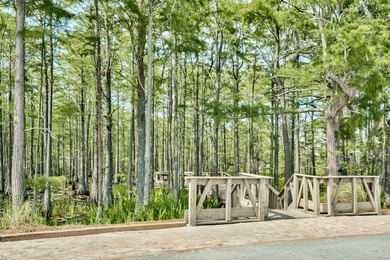 Situated on the gorgeous cypress pond that the community is - photo 14