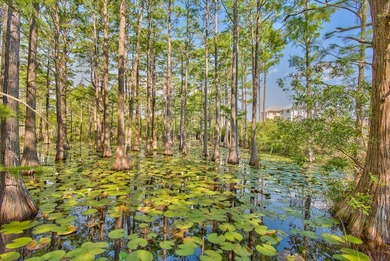 Situated on the gorgeous cypress pond that the community is - photo 15