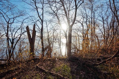 LAKE FRONTAGE!! Enjoy breathtaking sunset views from this - photo 15