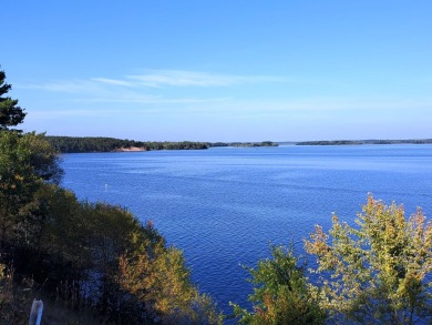 Lake Acreage For Sale in Nekoosa, Wisconsin