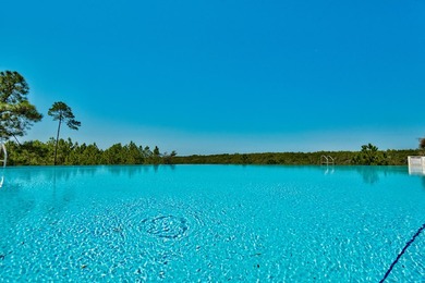 Situated on the gorgeous cypress pond that the community is - photo 32