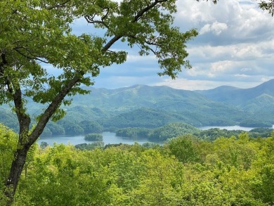 Watauga Lake Acreage For Sale in Butler Tennessee