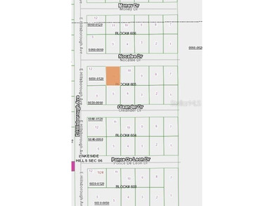 Georges Lake Lot For Sale in Florahome Florida