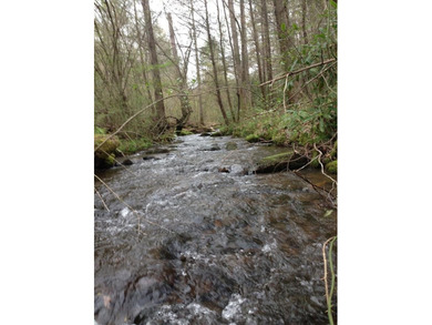 (private lake, pond, coastal) Acreage For Sale in Murphy North Carolina