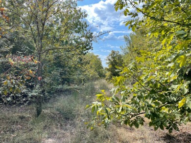 Lake Acreage For Sale in Mcalester, Oklahoma